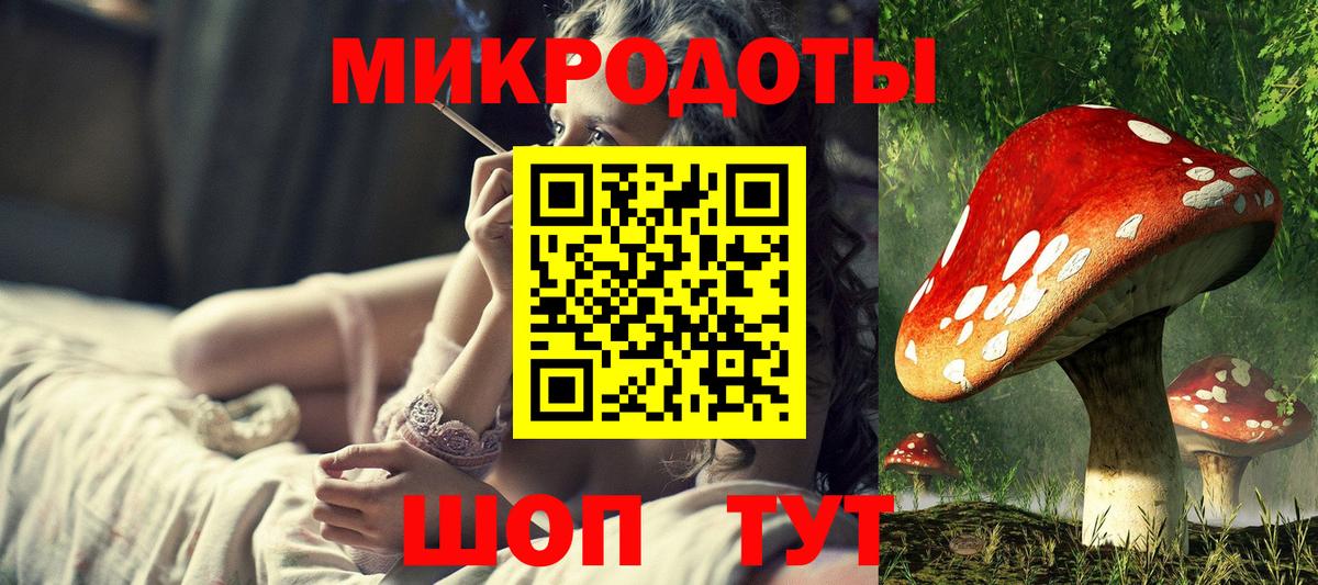 Псилоцибиновые грибы Cubensis  Вход с VPN  Галлюциногенные грибы ЛСД  Топки 